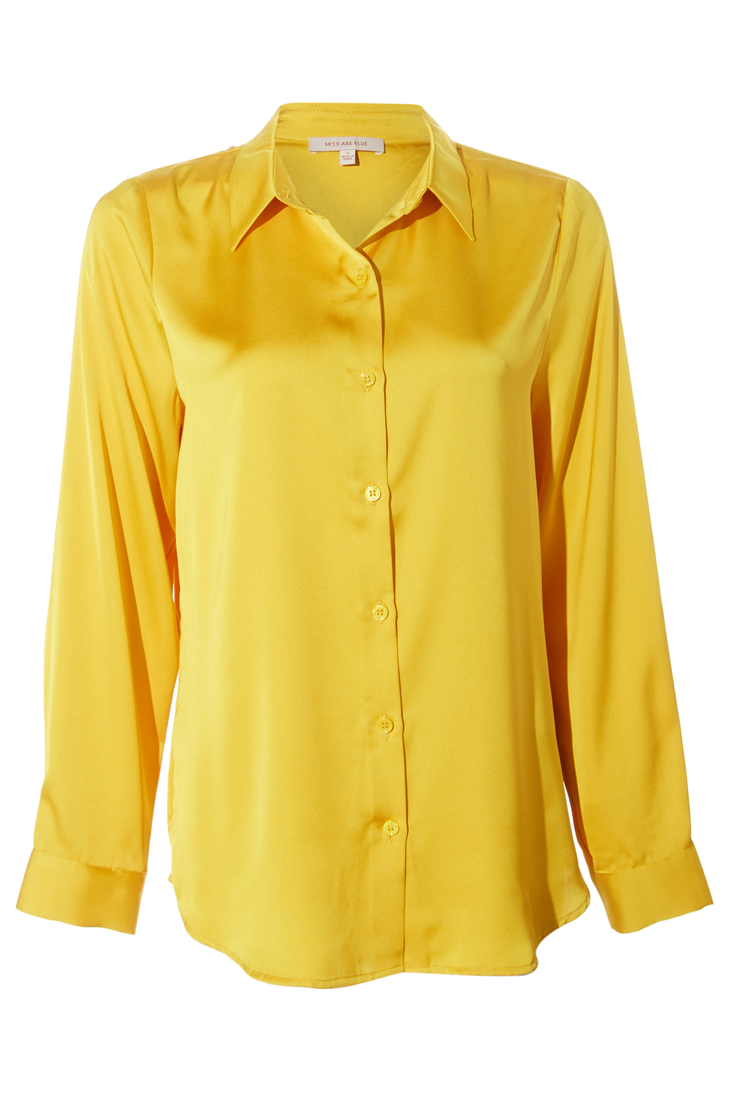 Button Down Shirt